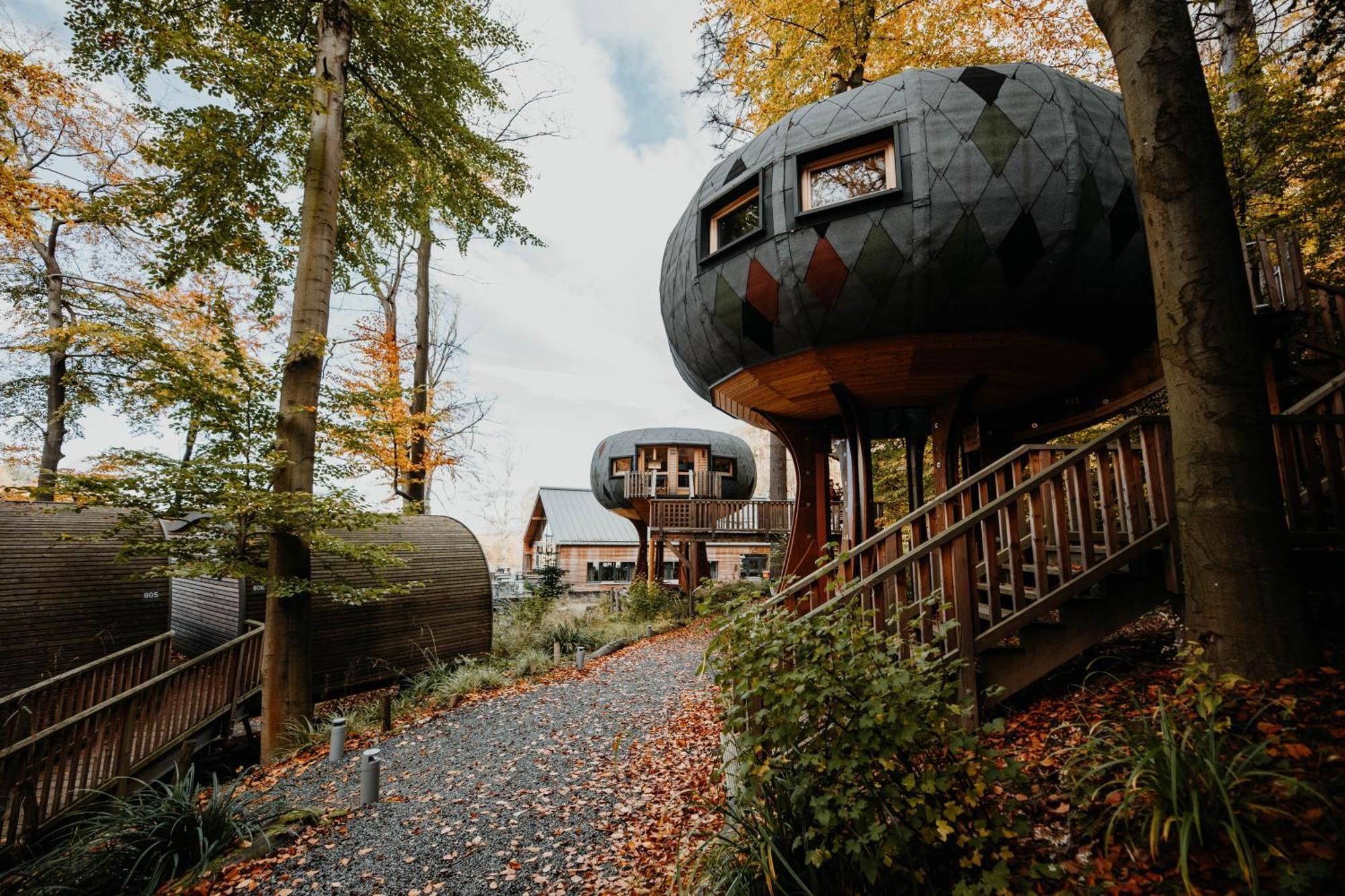 Sonnenresort Ettershaus Bad Harzburg Dış mekan fotoğraf